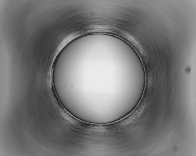 X0000098211370200805081125