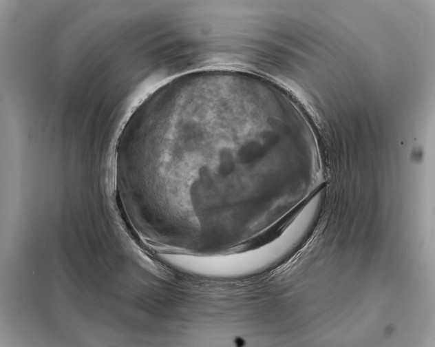 X0000098211371200805081125