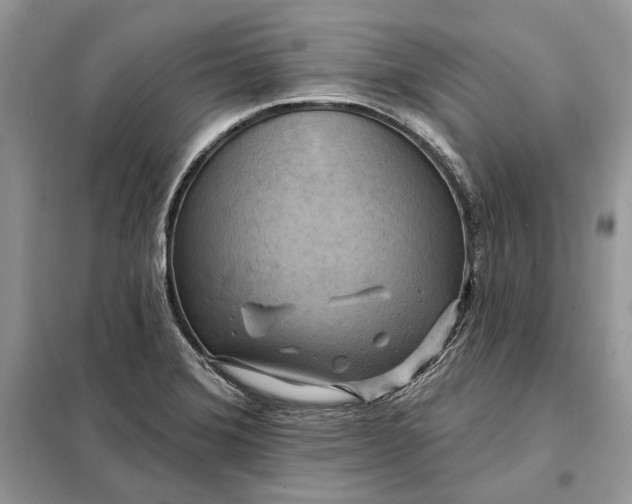 X0000098211372200805081125