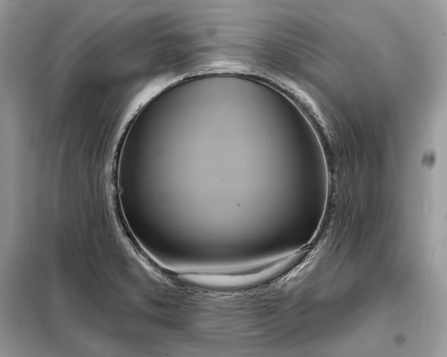 X0000098211373200805081125