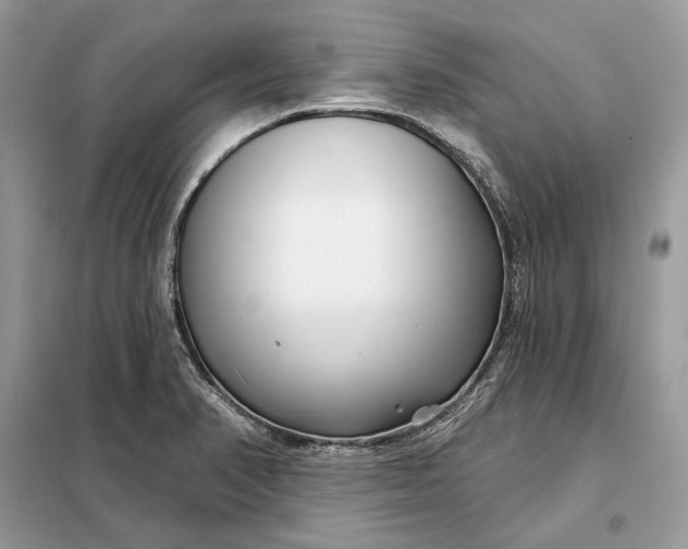 X0000098211374200805081125