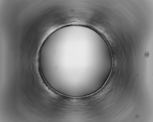 X0000098211375200805081125
