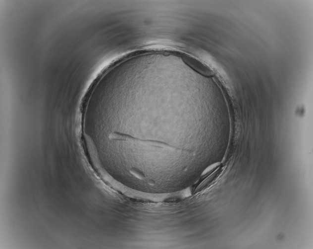 X0000098211376200805081125