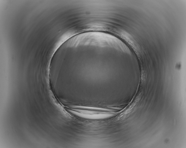 X0000098211378200805081125
