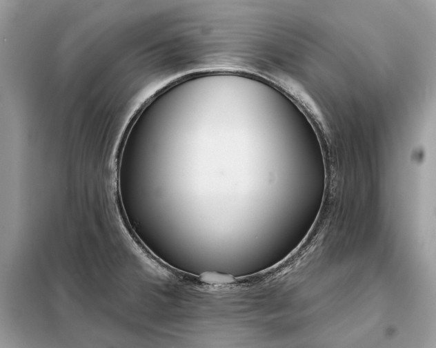 X0000098211380200805081125