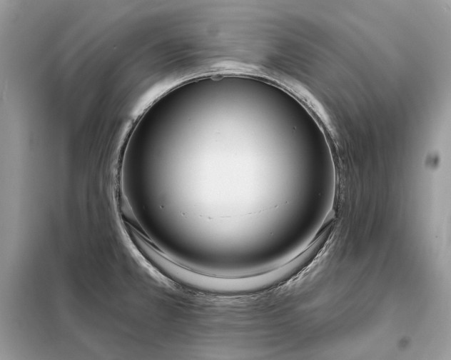 X0000098211381200805081125