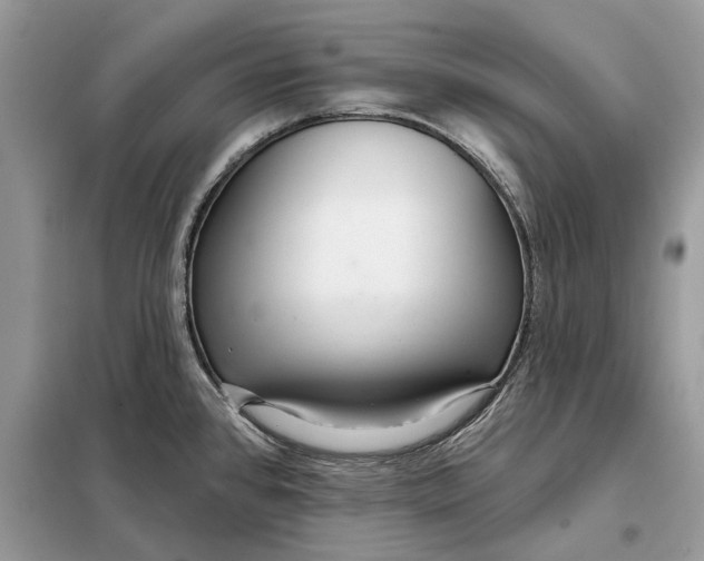 X0000098211384200805081125