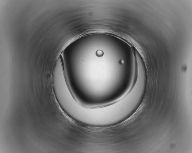 X0000098211385200805081125