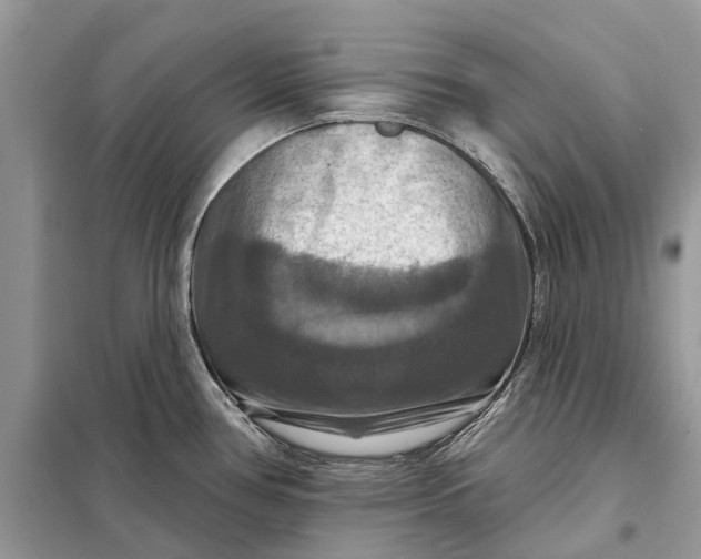 X0000098211386200805081125