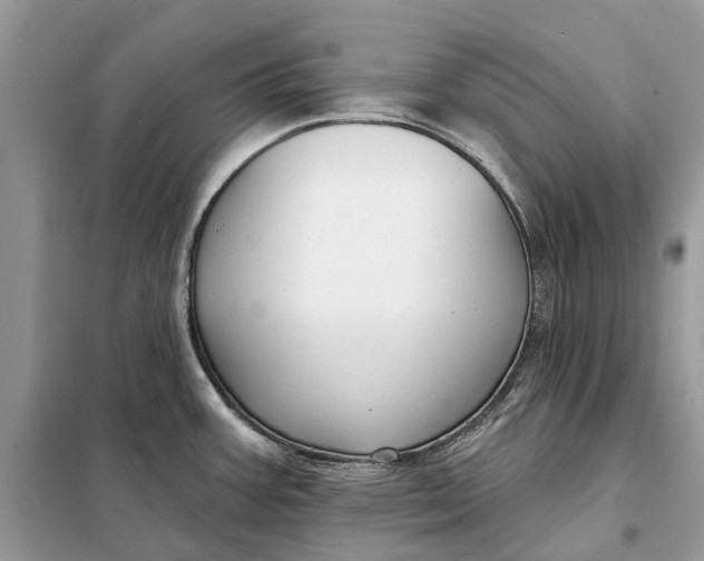 X0000098211387200805081125
