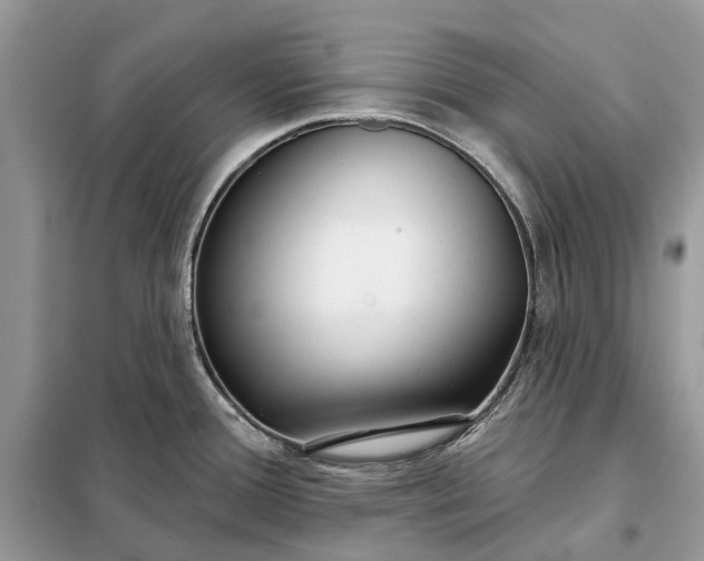 X0000098211388200805081125