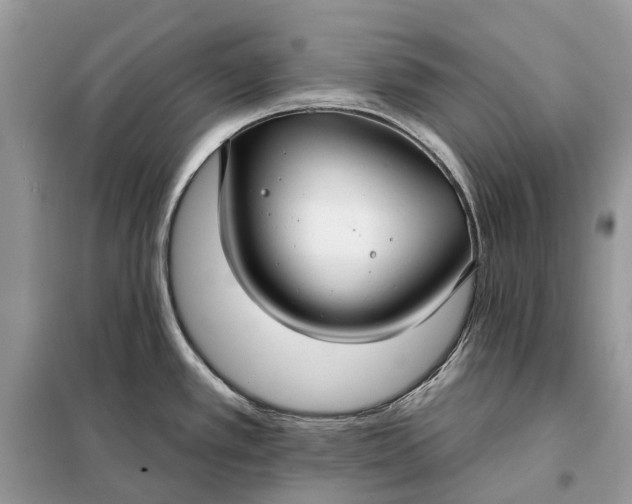 X0000098211389200805081125