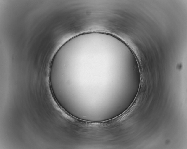 X0000098211390200805081124