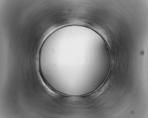 X0000098211391200805081124
