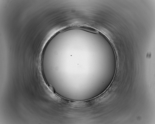 X0000098211392200805081124