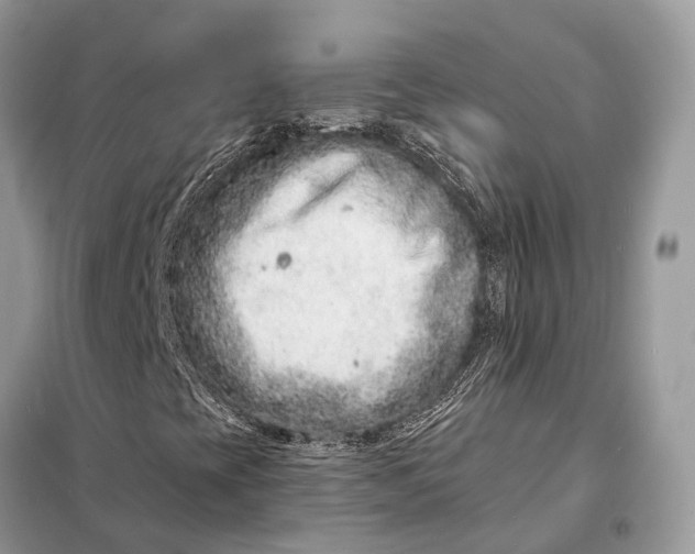 X0000098211393200805081124