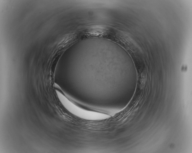 X0000098211394200805081124