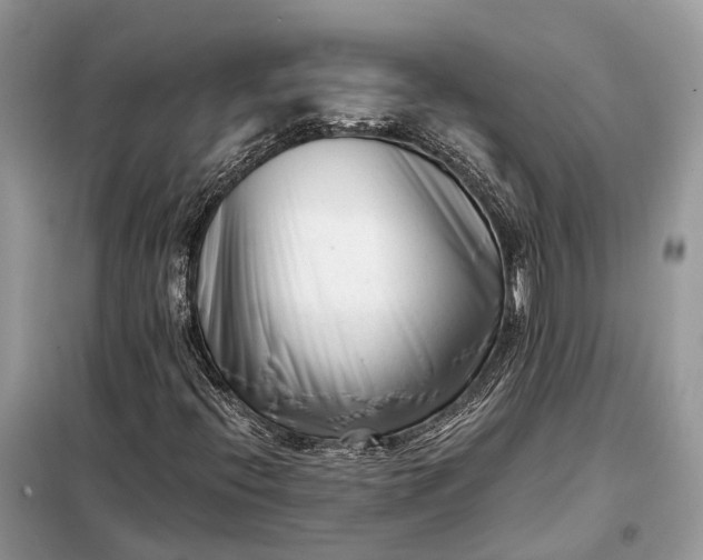 X0000098211396200805081124