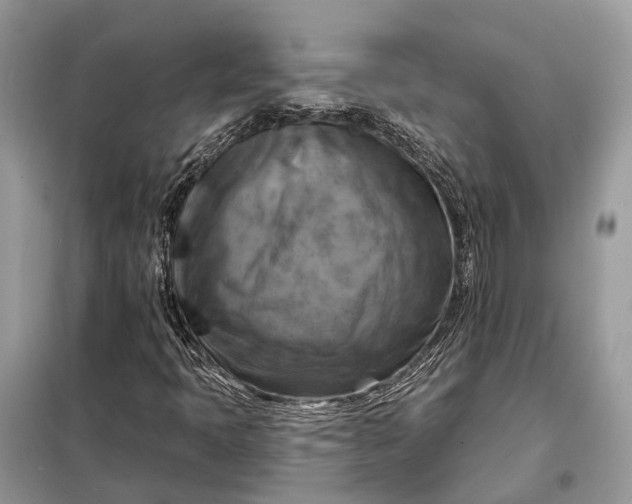X0000098211397200805081124