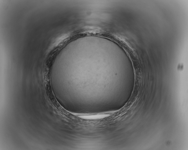 X0000098211399200805081124