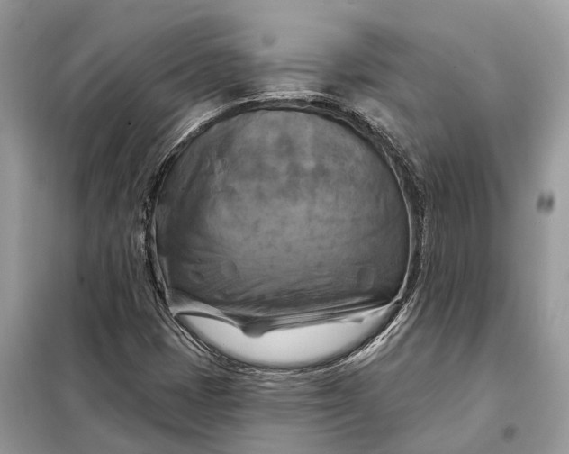 X0000098211401200805081124