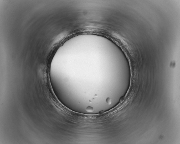 X0000098211403200805081124