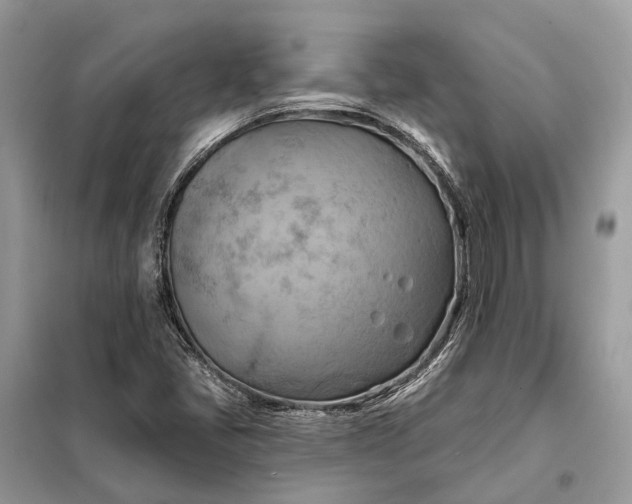 X0000098211405200805081124