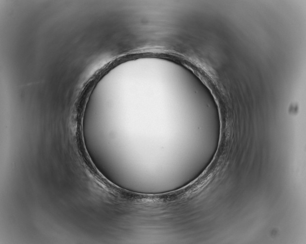 X0000098211406200805081124