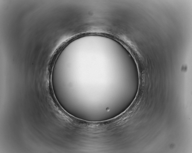 X0000098211408200805081124