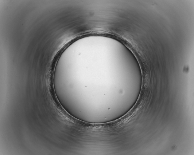 X0000098211410200805081124