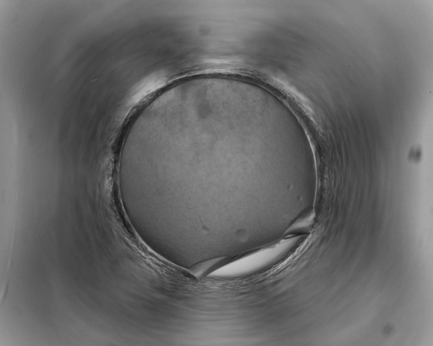 X0000098211411200805081124