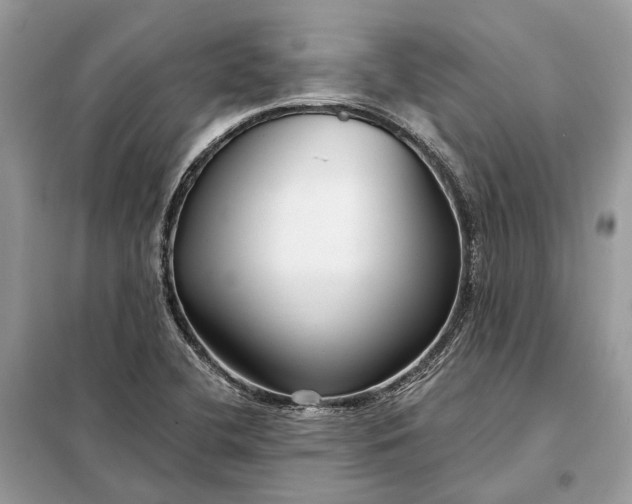X0000098211412200805081124
