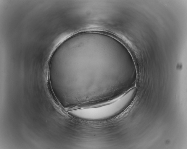 X0000098211413200805081124