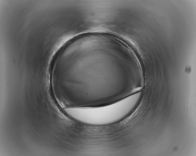 X0000098211414200805081124