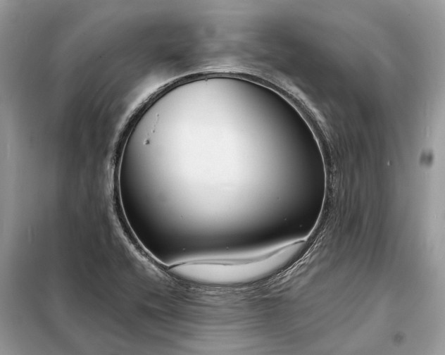 X0000098211416200805081124