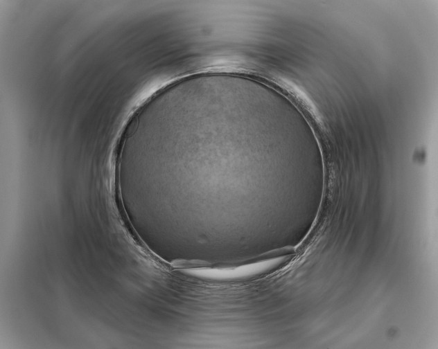 X0000098211419200805081124