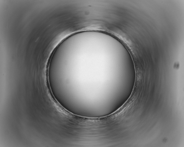 X0000098211423200805081124
