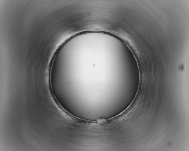 X0000098211424200805081124