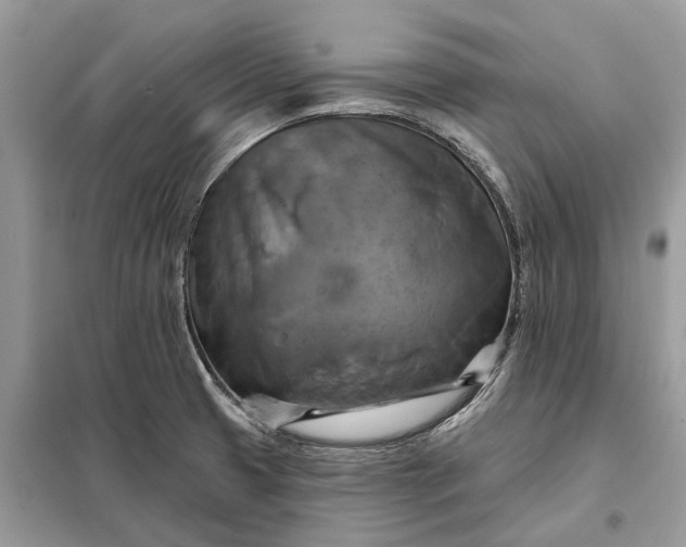 X0000098211425200805081124