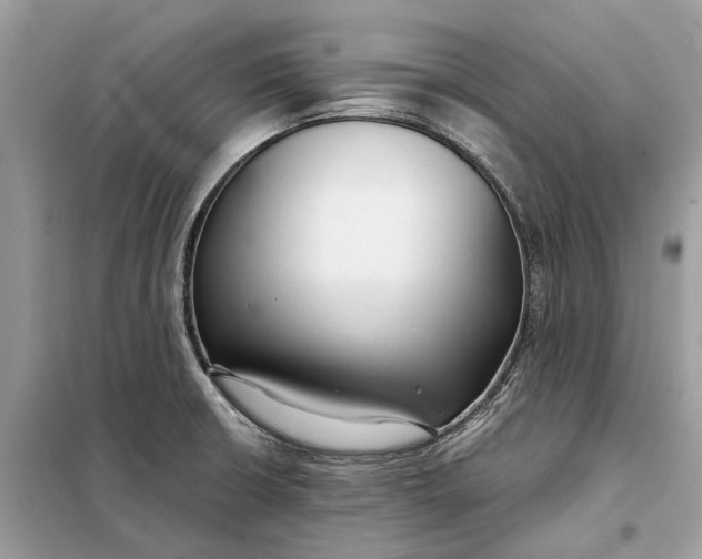 X0000098211426200805081124