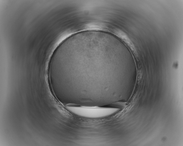 X0000098211427200805081124