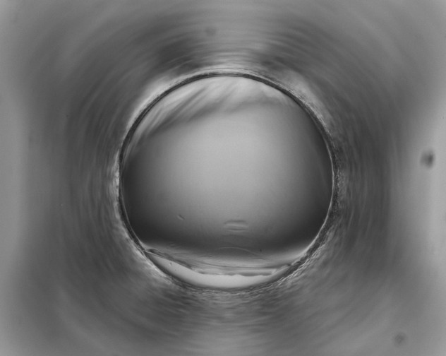 X0000098211428200805081124