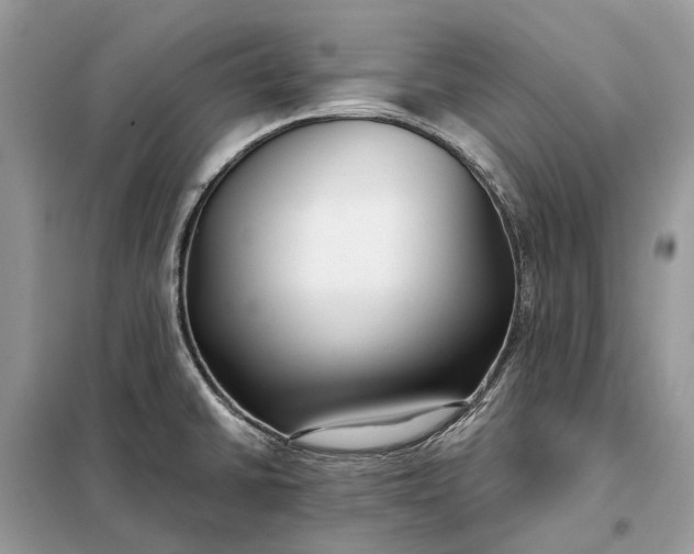 X0000098211430200805081124