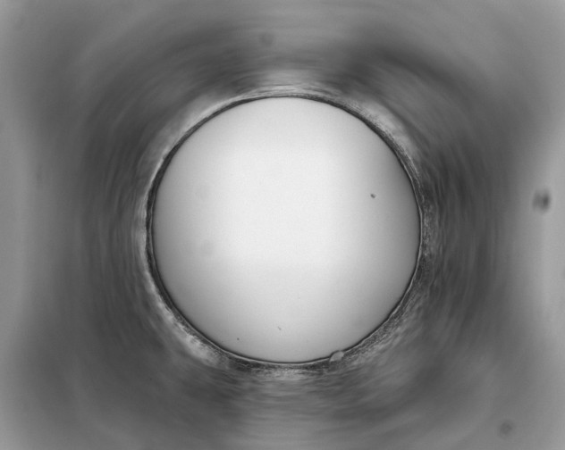 X0000098211431200805081124