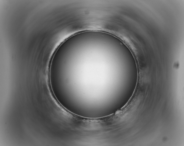 X0000098211432200805081124