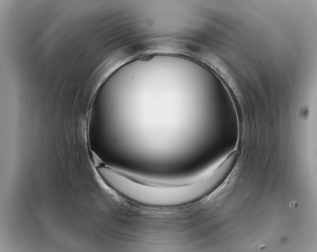 X0000098211433200805081124