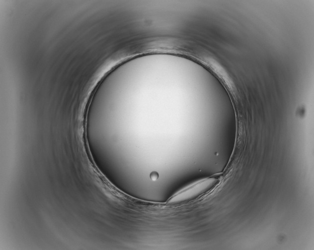 X0000098211435200805081124