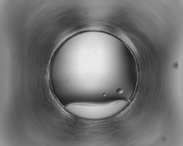 X0000098211436200805081124