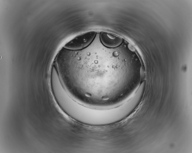 X0000098211437200805081124