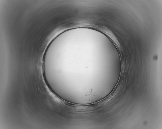 X0000098211439200805081124